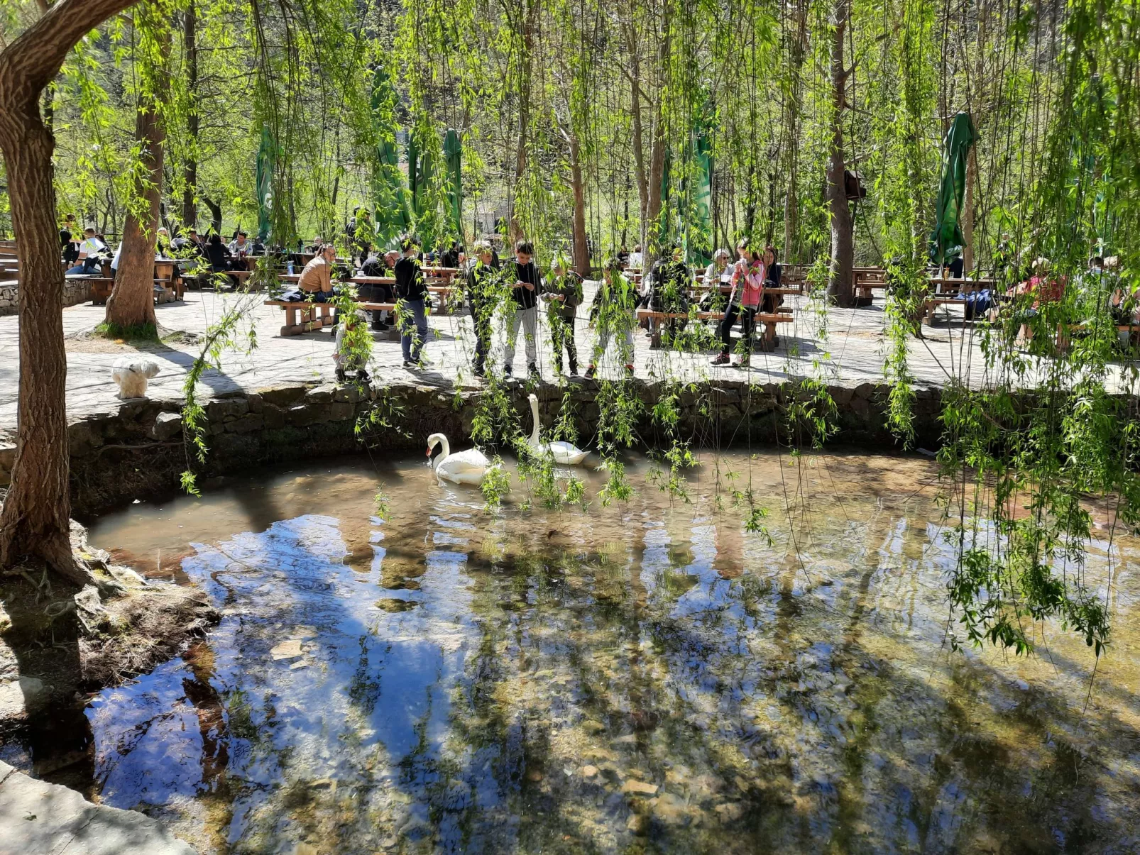 Villa Ocean Breeze - Omgeving