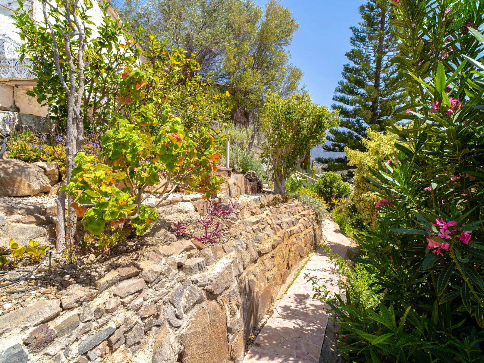 Mirador de Punta Lara by Casasol - Buiten