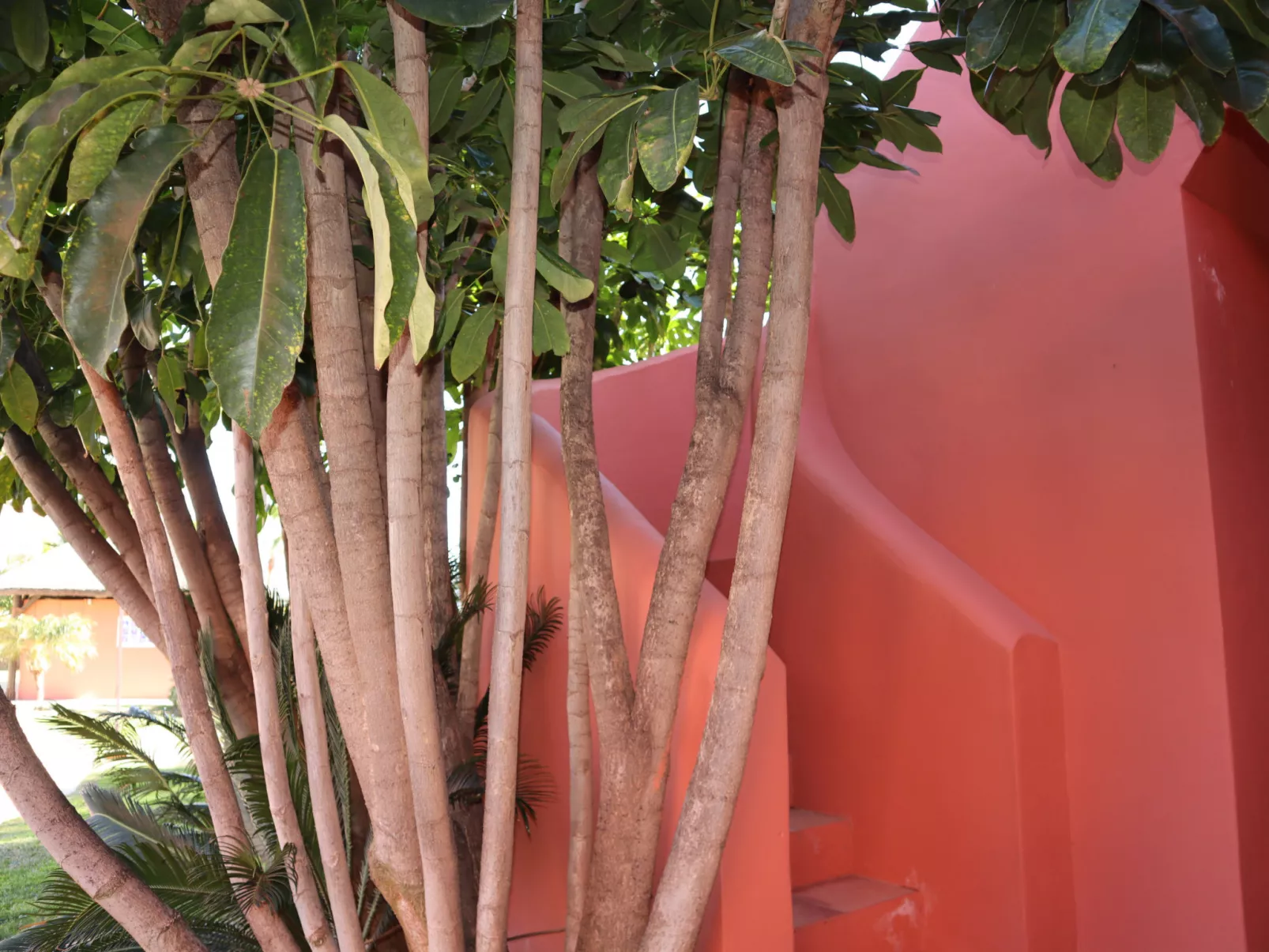 Penthouse Luxury Faro by Casasol - Buiten