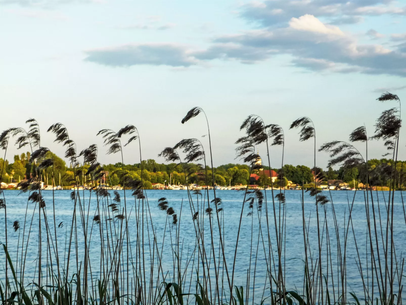 Bootshaus auf dem See - Buiten
