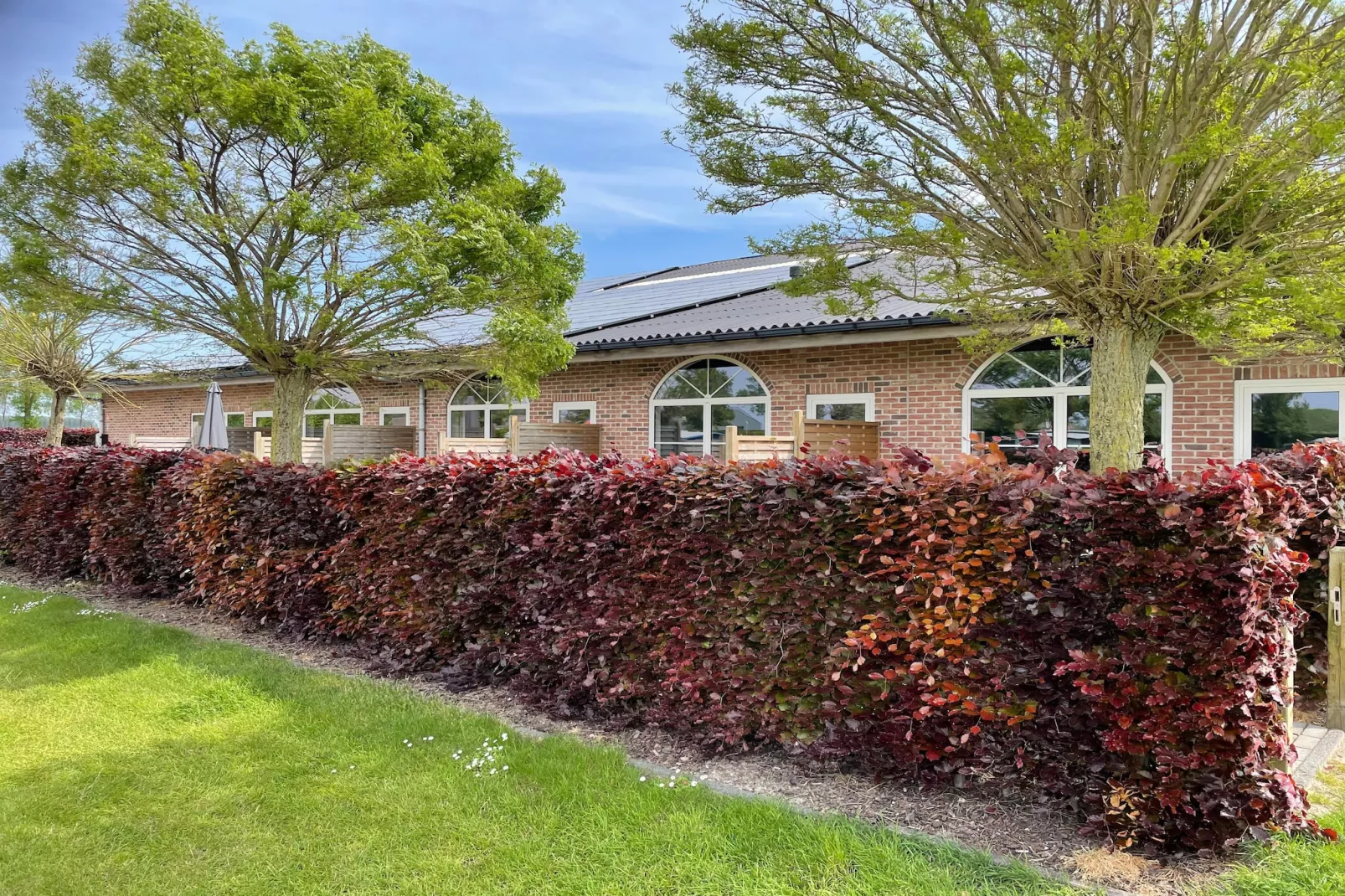 Het Platte Putje - Huisdier - nr1