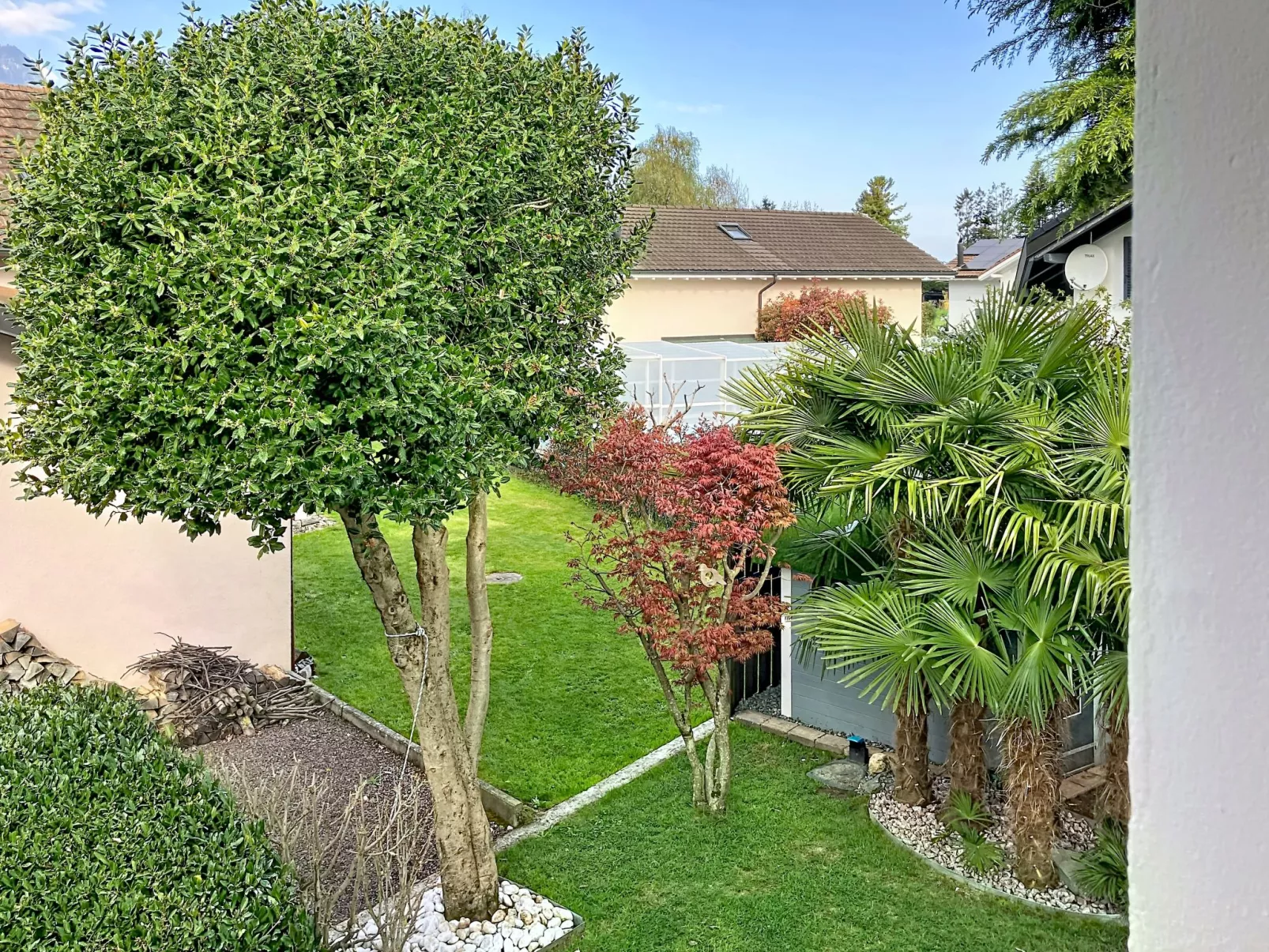 La Maison des Palmiers - Buiten