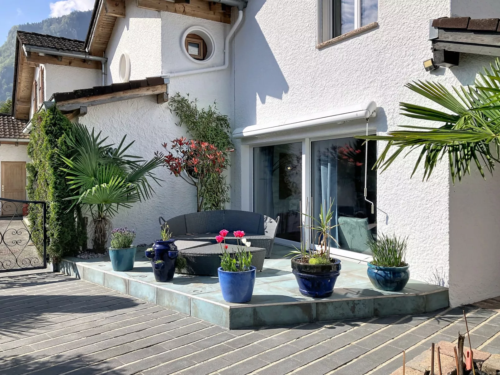 La Maison des Palmiers - Buiten