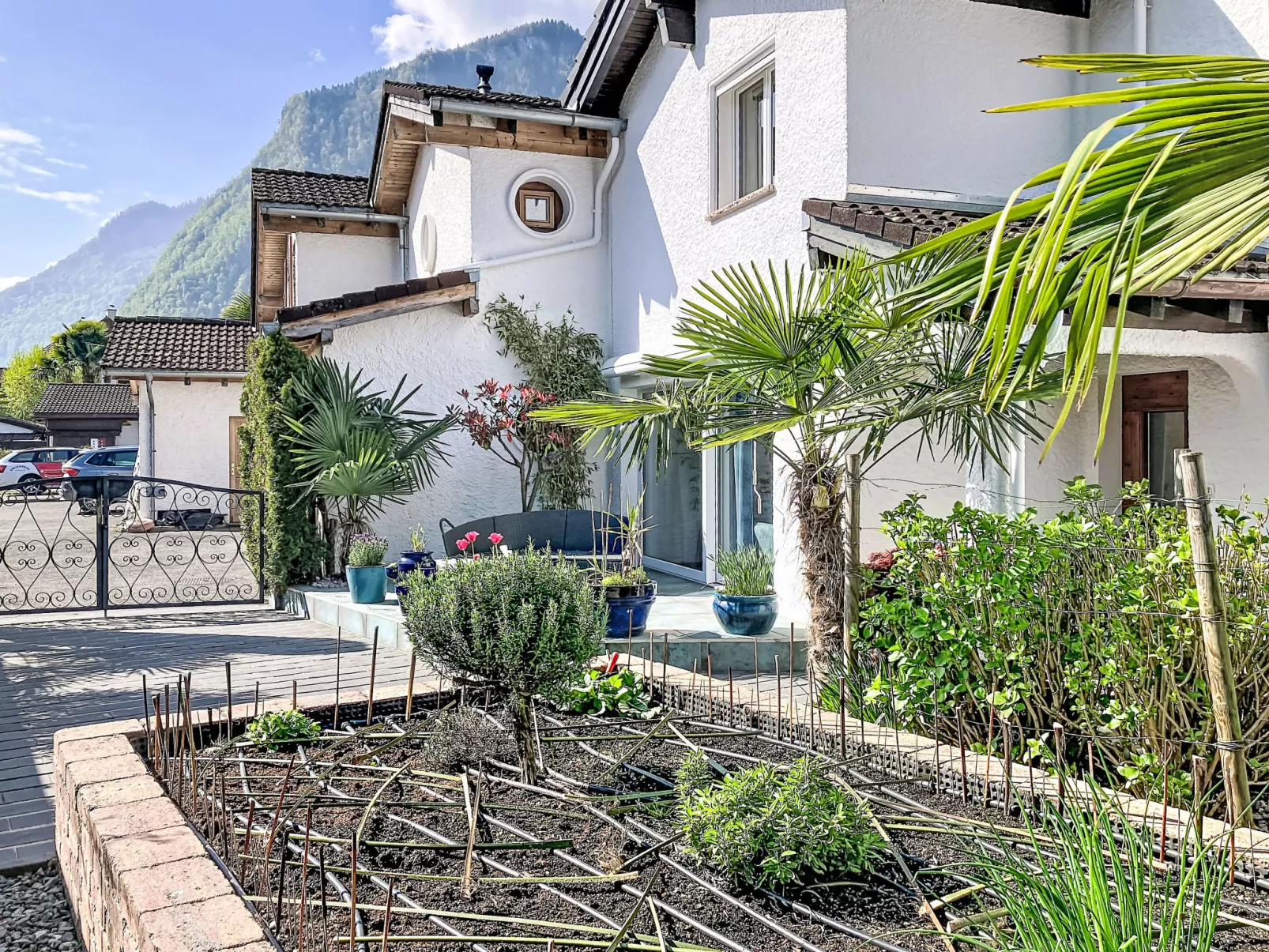 La Maison des Palmiers - Buiten