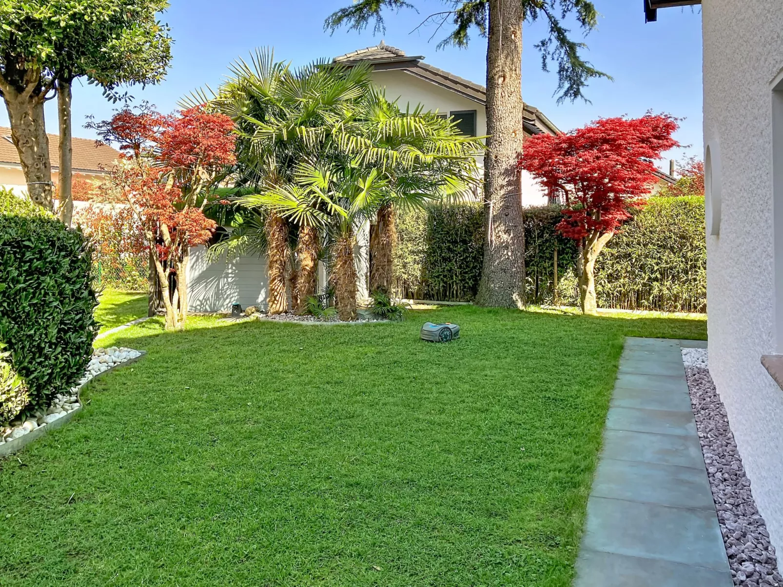 La Maison des Palmiers - Buiten