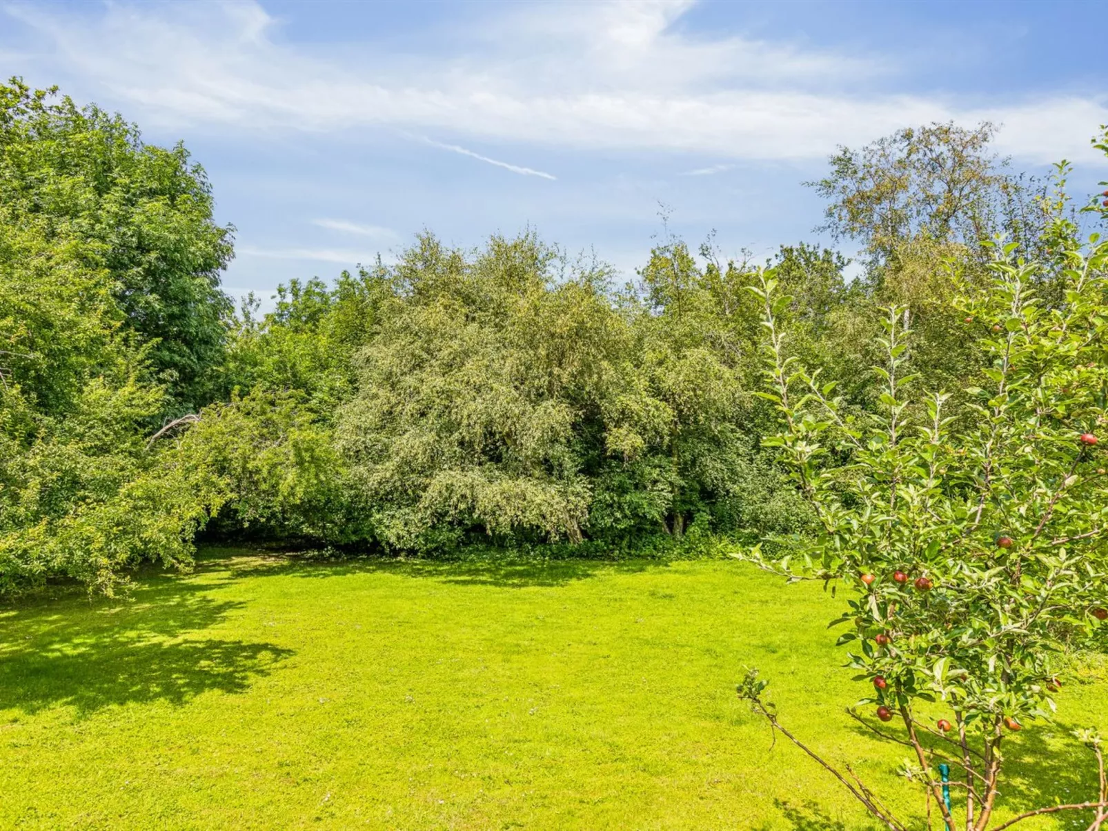 "Niela" - 700m from the sea - Buiten