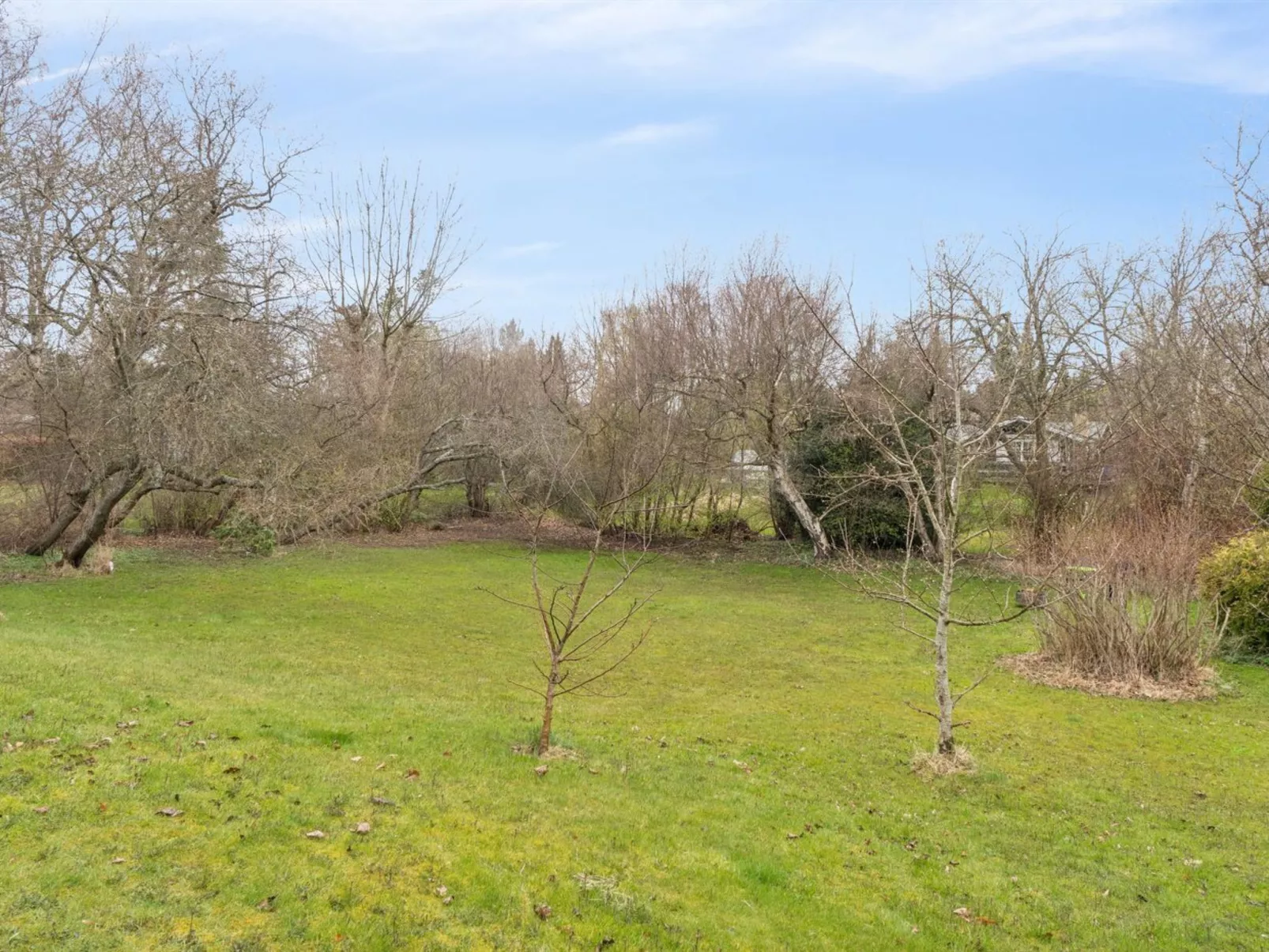 "Niela" - 700m from the sea - Buiten