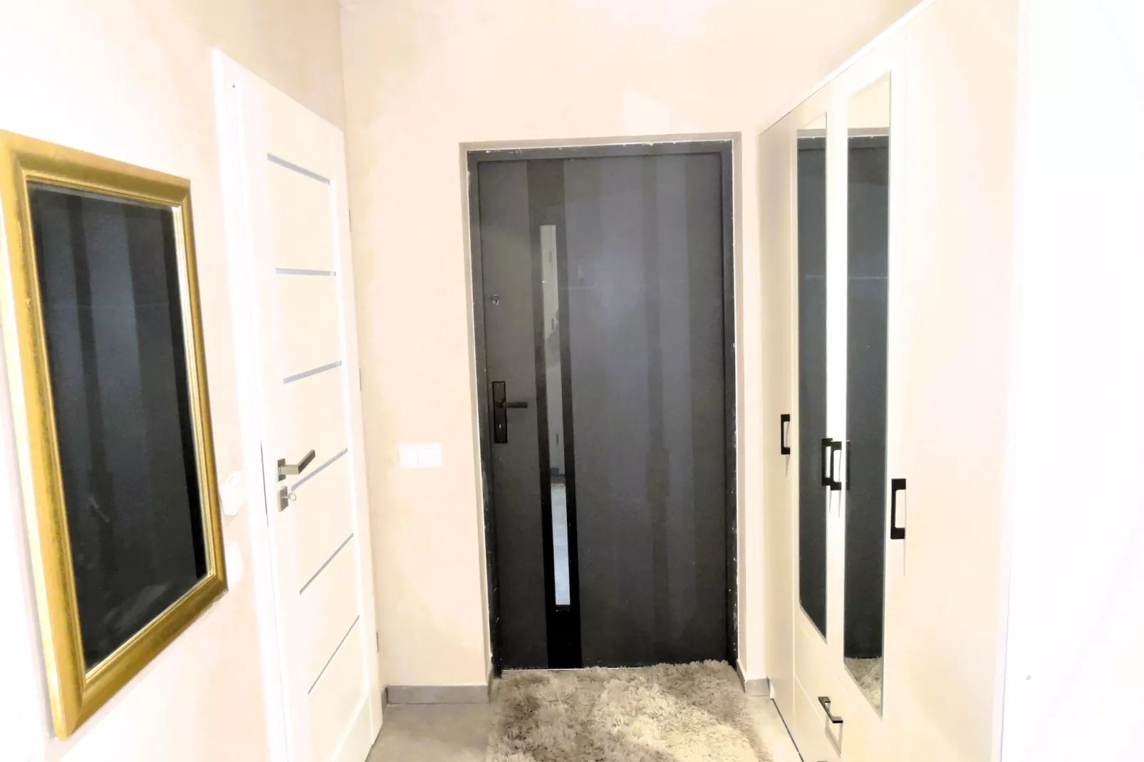 Apartament Wisełka  Lew 1 parter - Hal-ontvangst