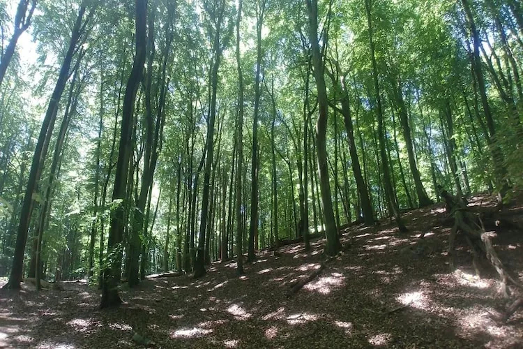 Apartament z tarasem Wisełka  Lew 2 I piętro - Gebieden zomer 1km