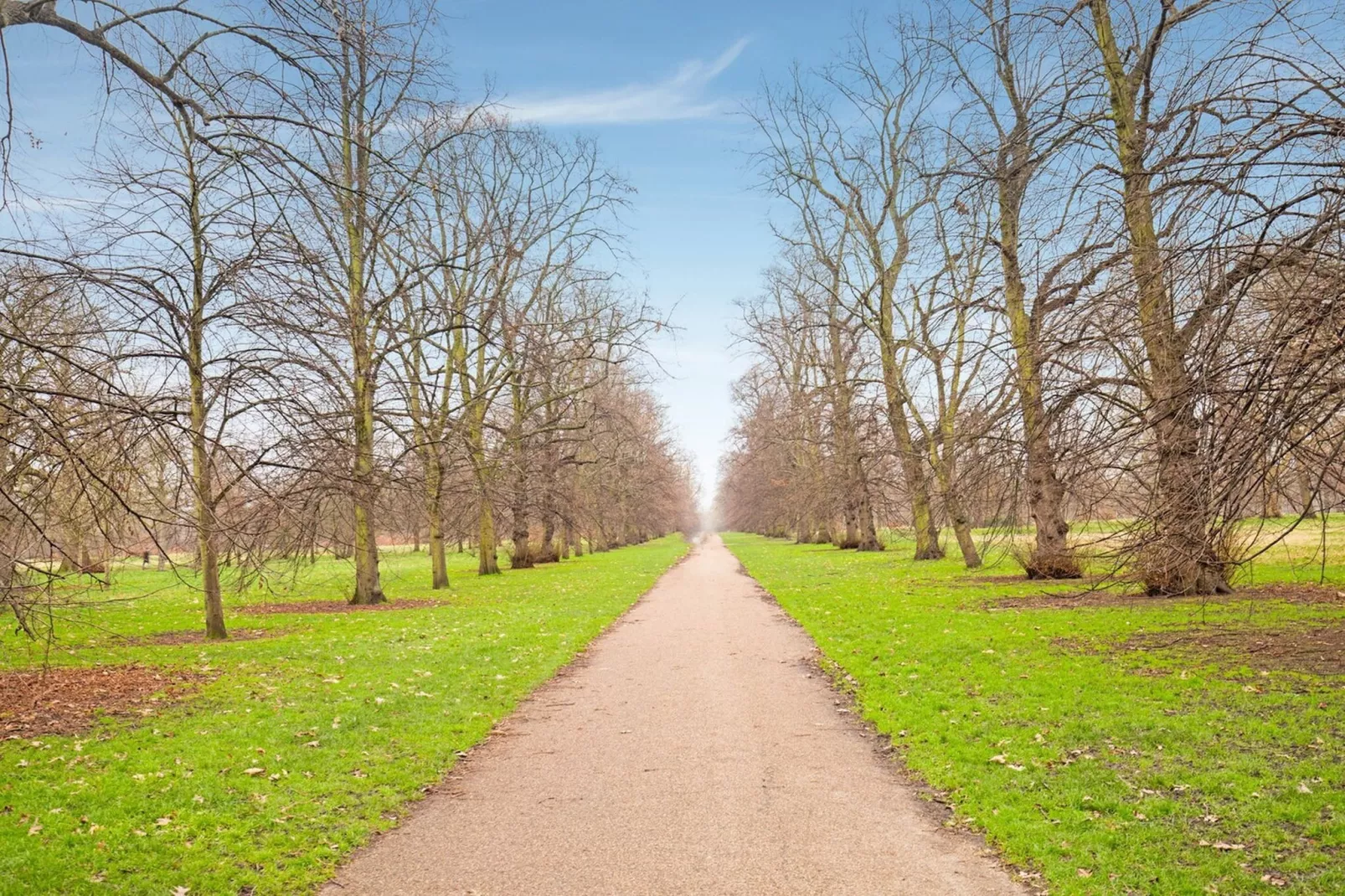 Standard Single Room - Tuinen zomer