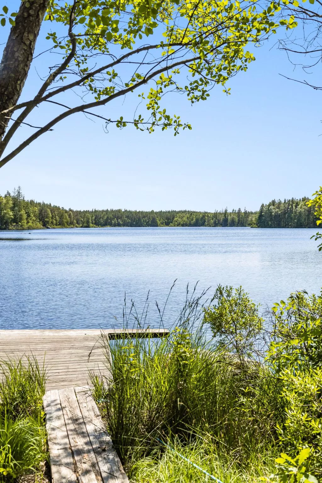 Stenfors-Buiten