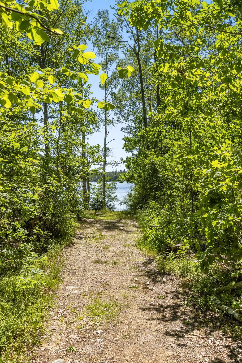 Stenfors-Buiten
