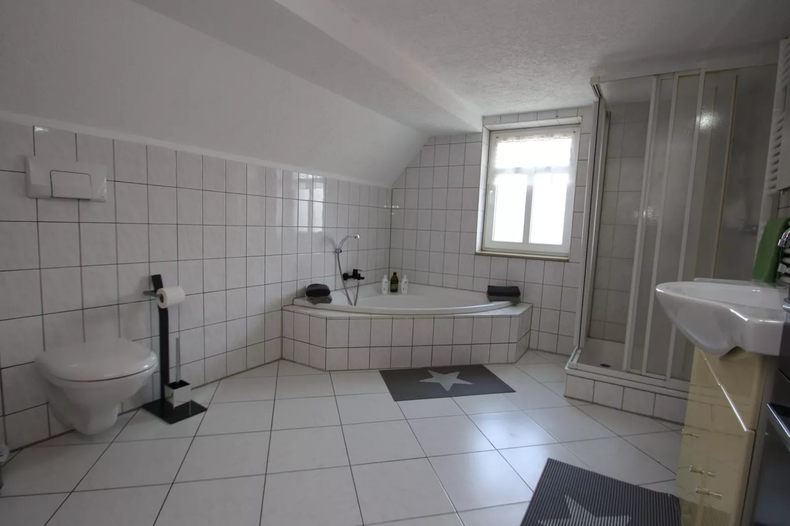 DG Ferienwohnung Elbingerode am Brocken - Badkamer