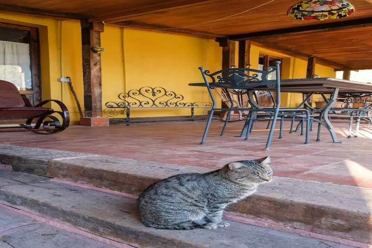 Sogno di Giove Casa Giove - Terras