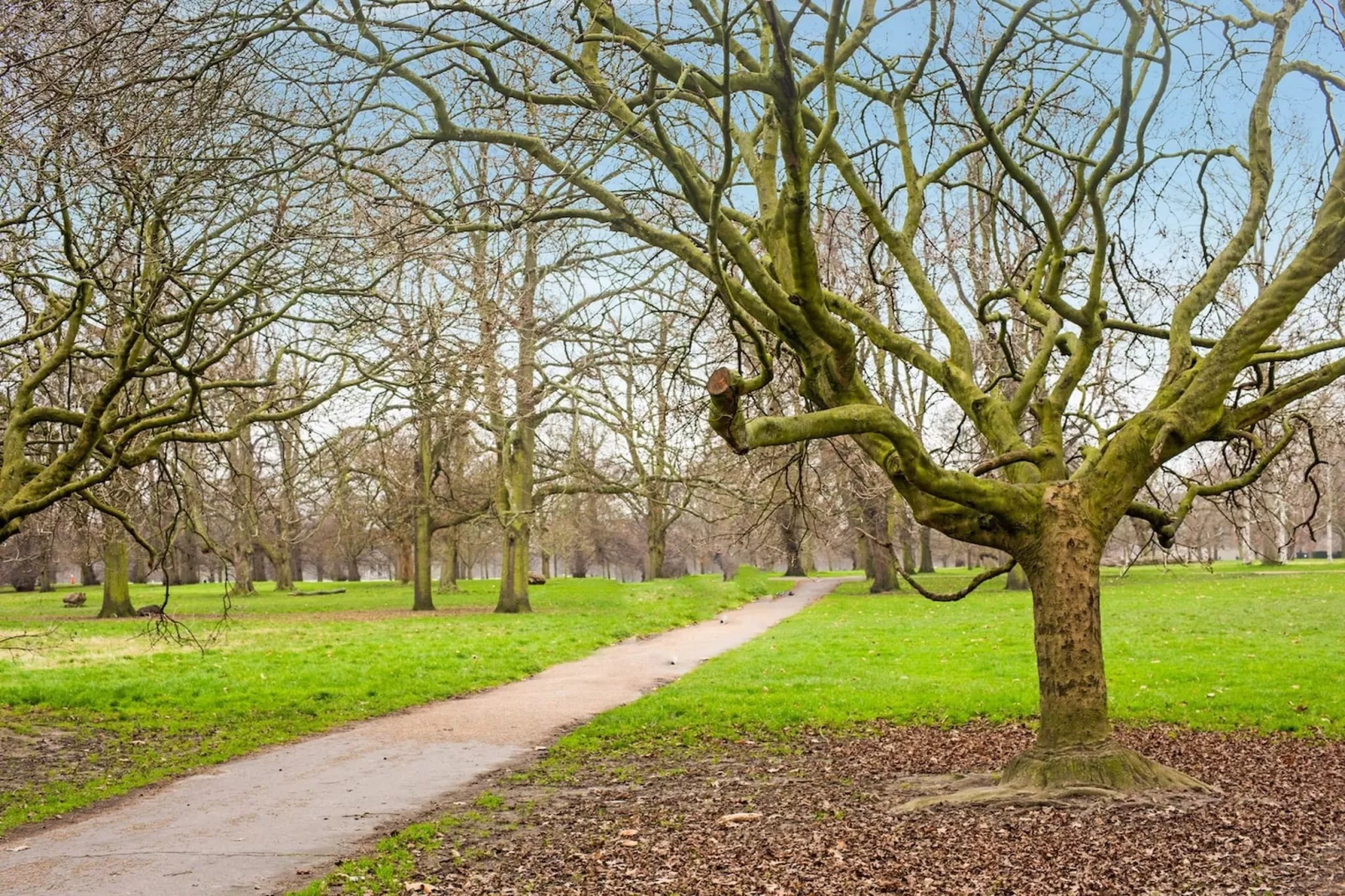 Standard Quad Room - Tuinen zomer