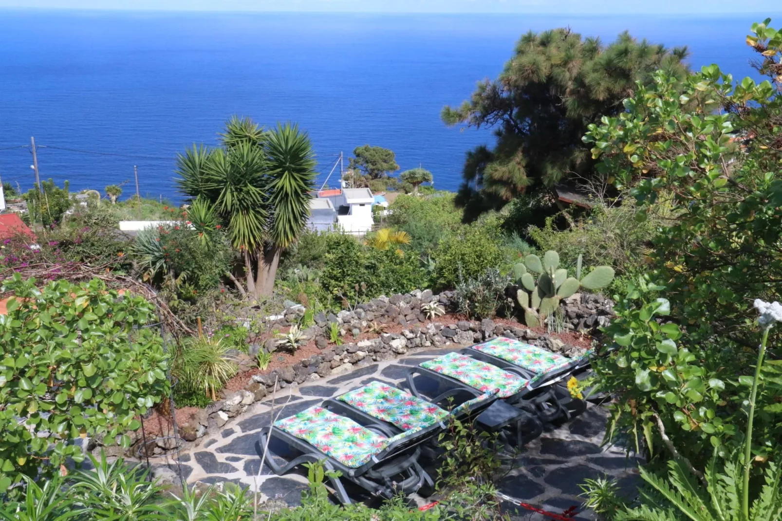Finca La Hoya / 3-4 Personen-3-4 Personen-3-4 Personen - Buitenkant zomer