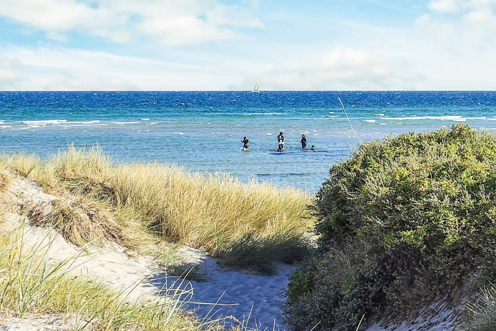 4 sterren vakantie huis in Hals - Niet-getagd