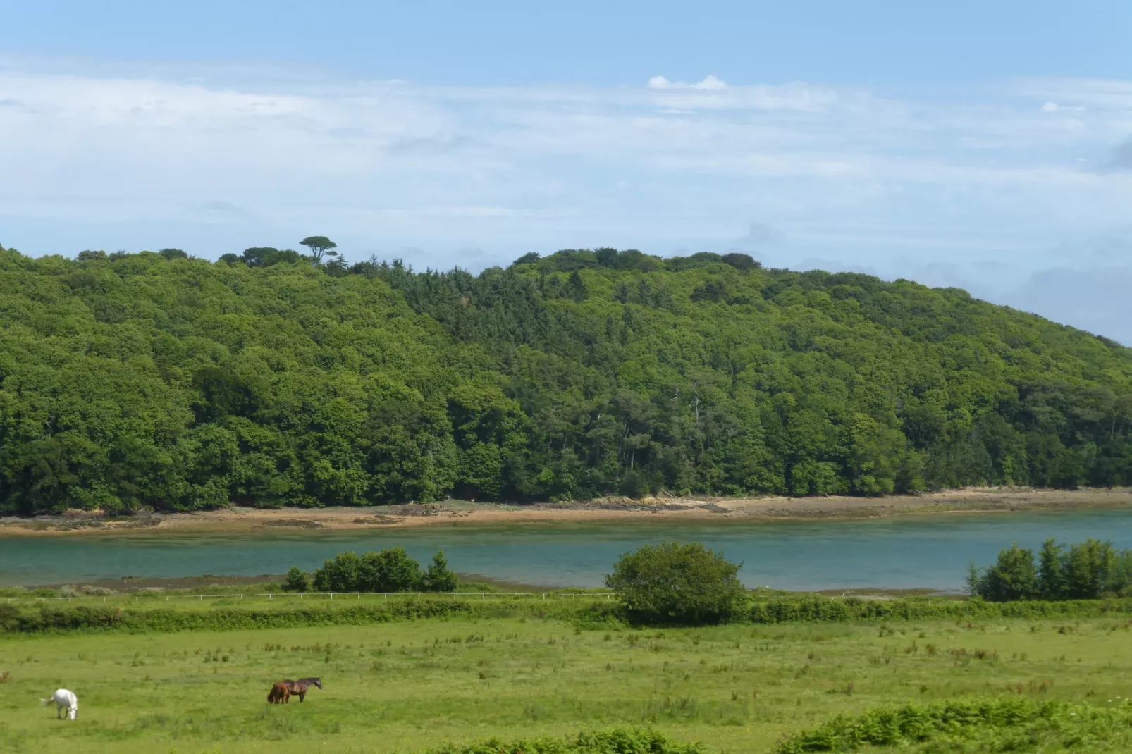 Maison de vacances Trélévern - Gebieden zomer 20km