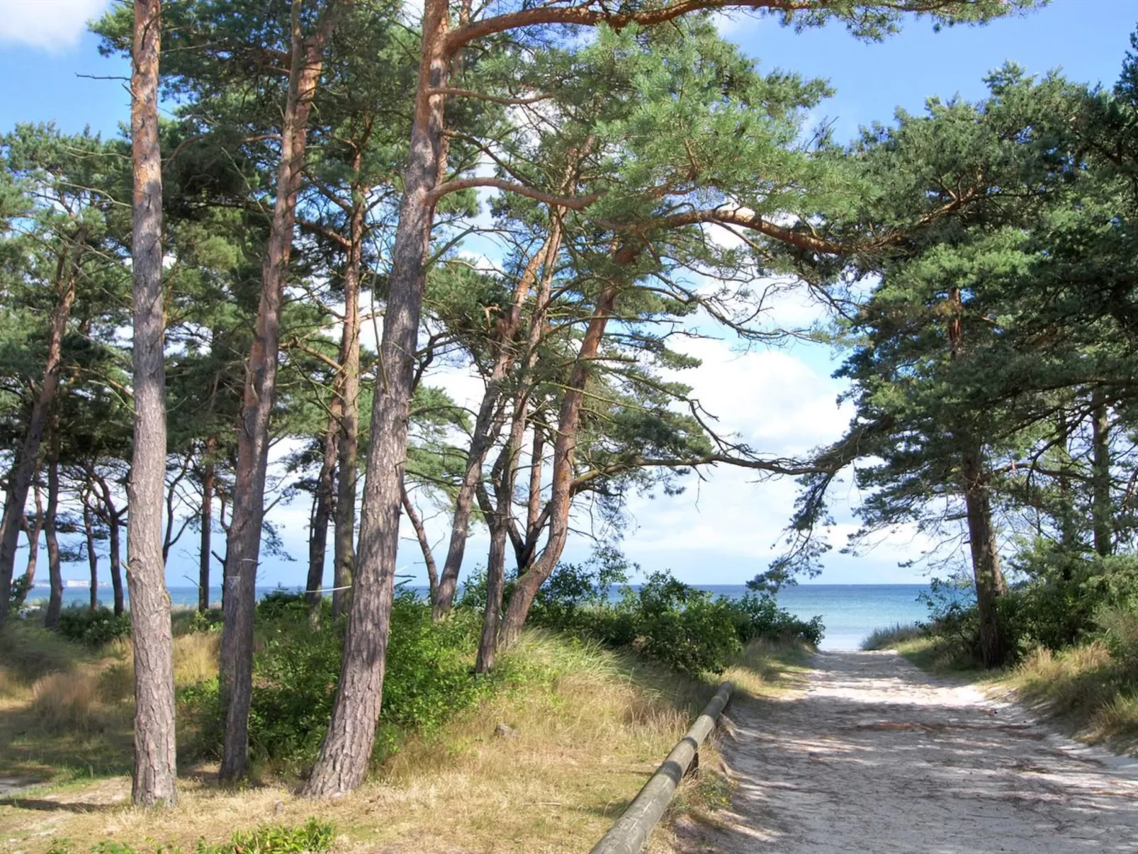 "Svenja" - 300m from the sea - Buiten