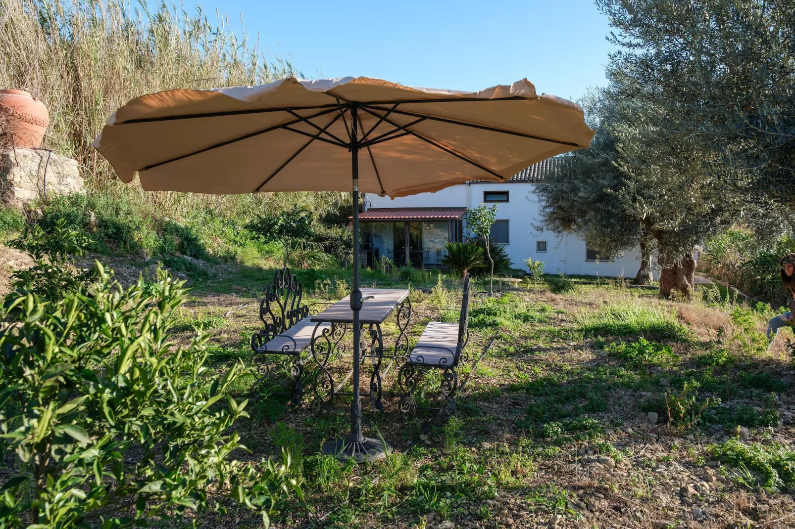 Sogno di Giove Casa Venere - Tuinen zomer