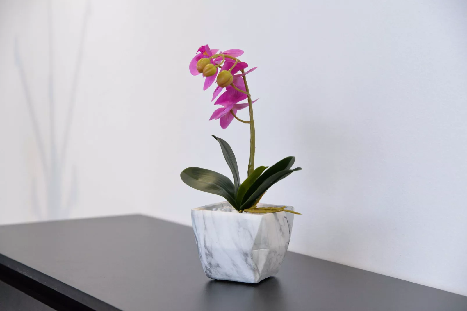 Room Marsonia - Double Room - Binnen