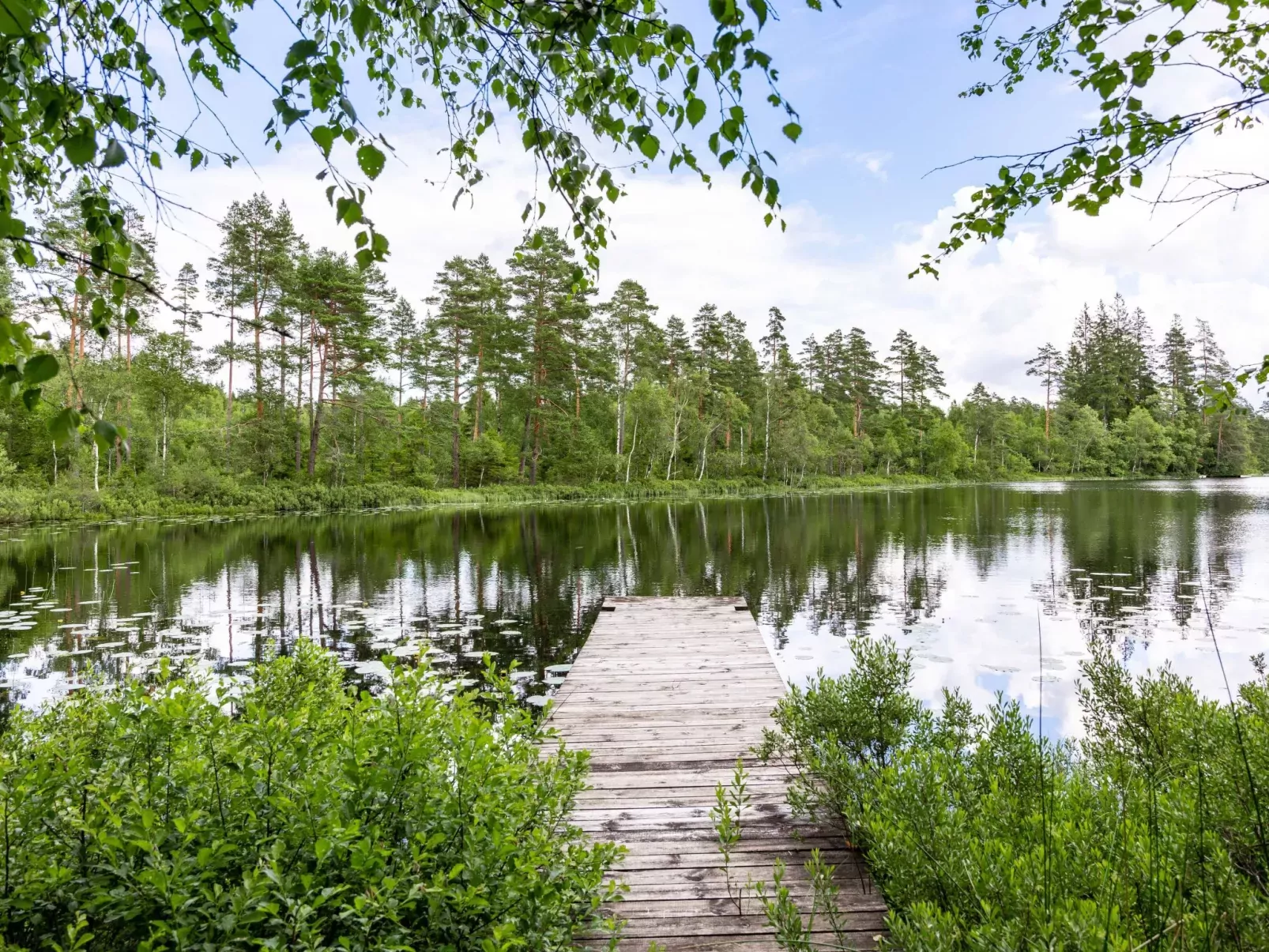 Hökagården-Buiten