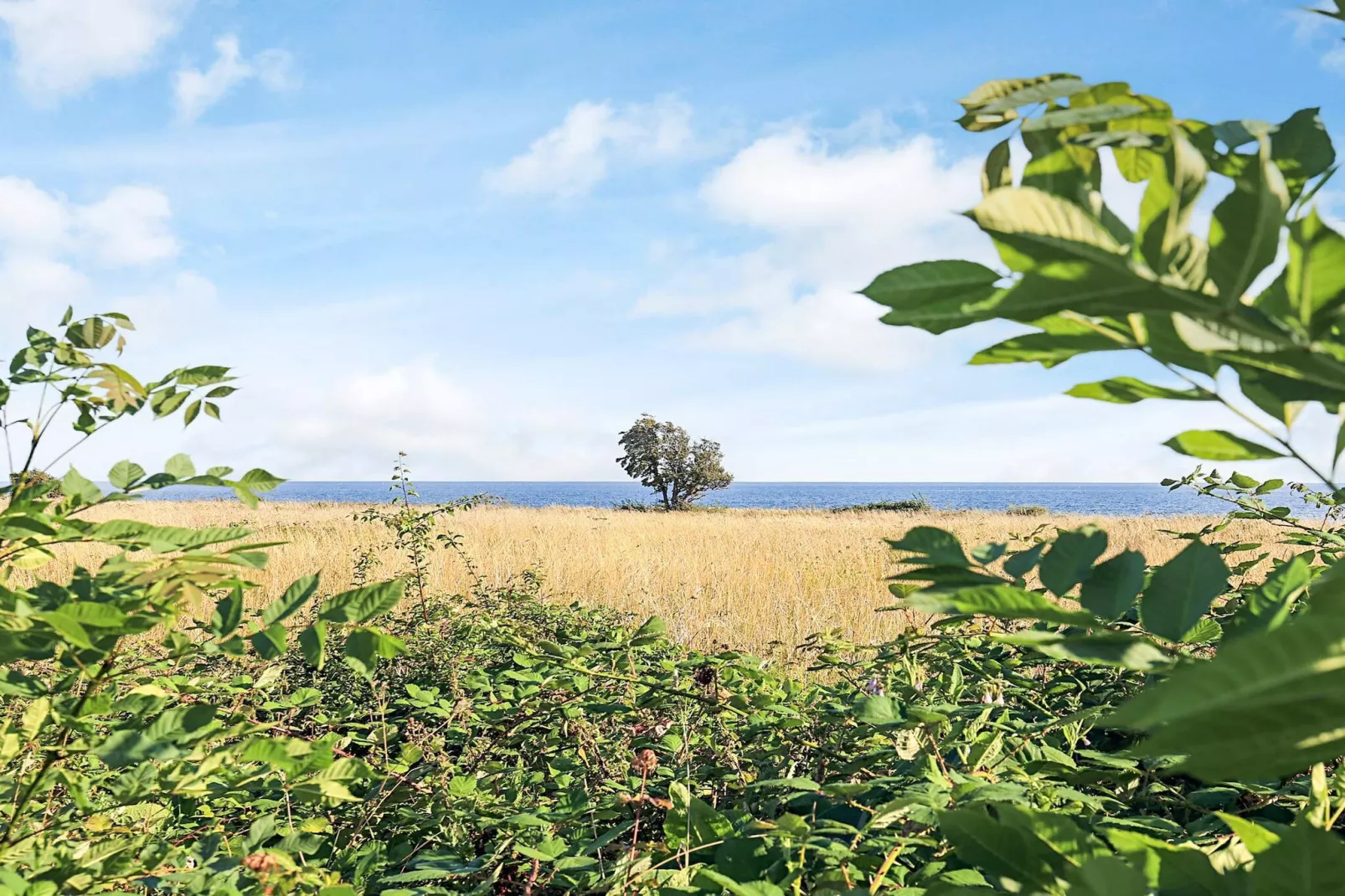 8 persoons vakantie huis in Nysted-By Traum - Waterzicht
