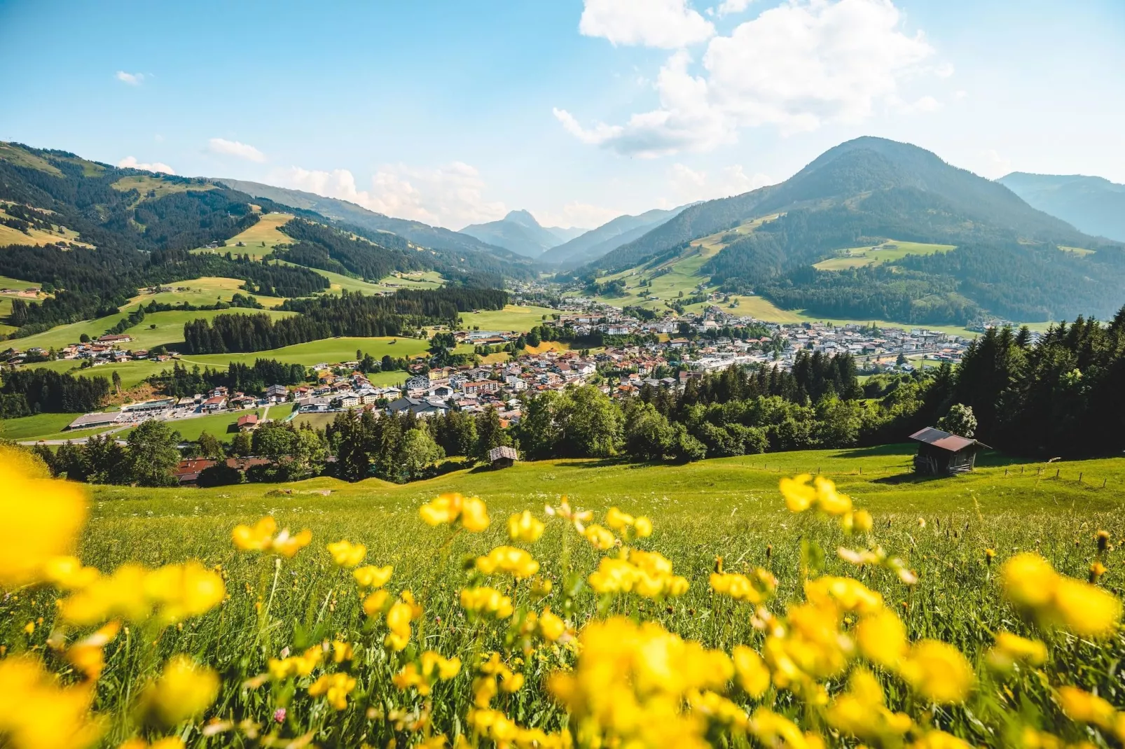 Residenz Edelalm - Top 2 - Gebieden zomer 5km