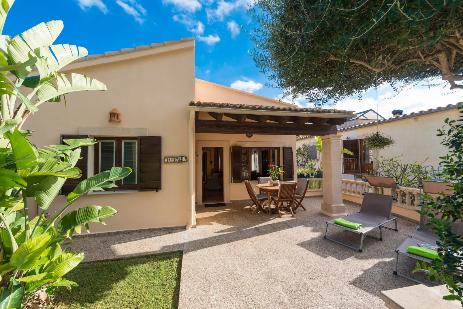 Alga Marina