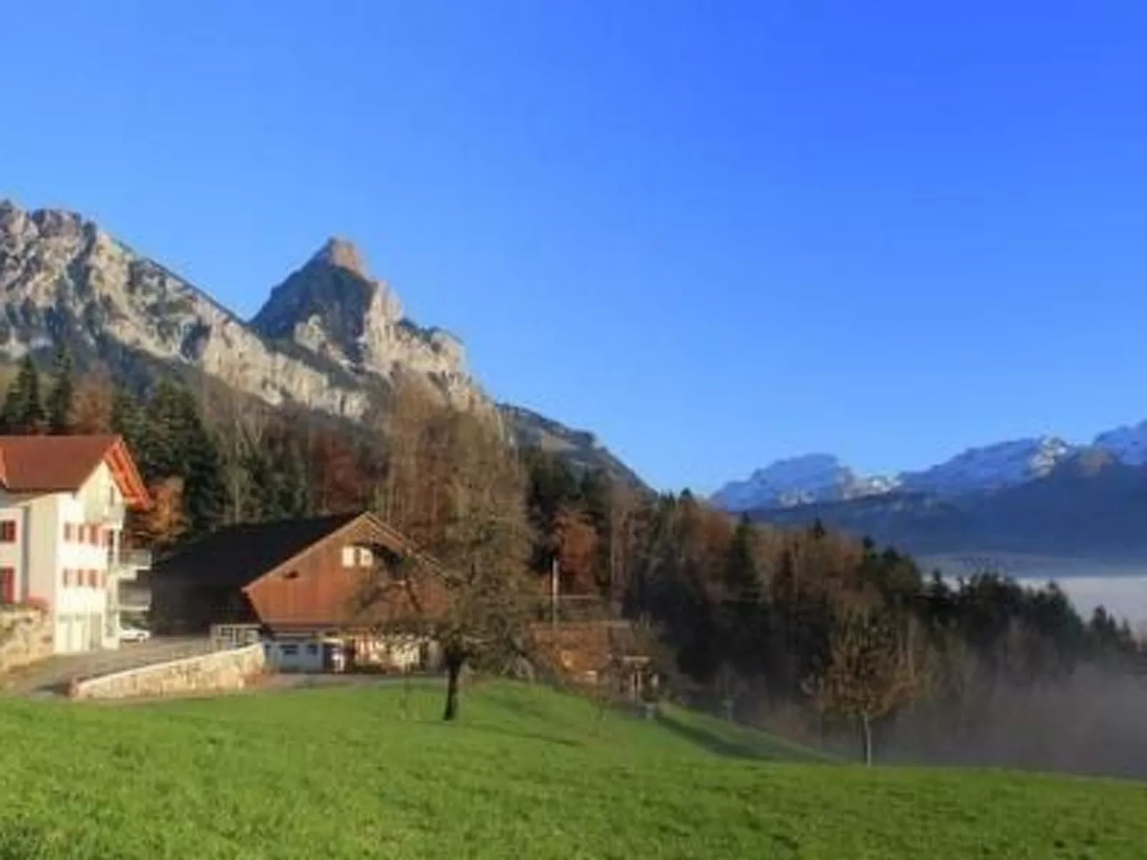2-Zimmerwohnung RIGI
