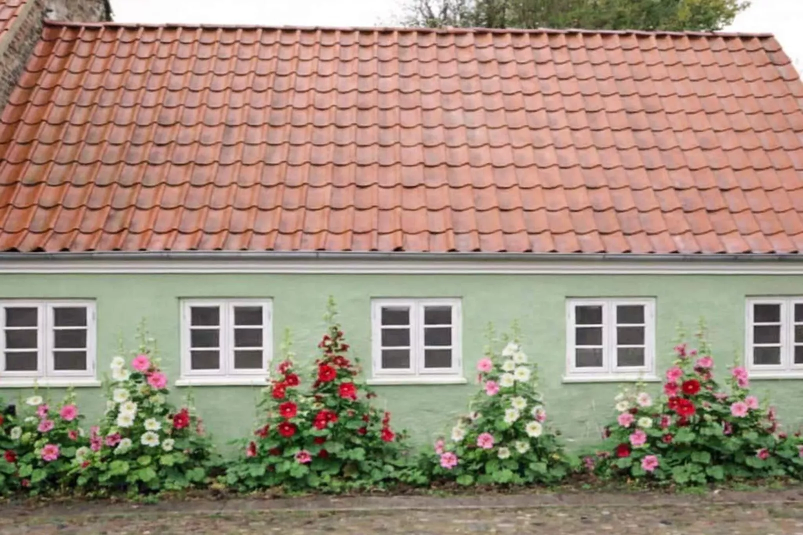 4 sterren vakantie huis in Ringkøbing