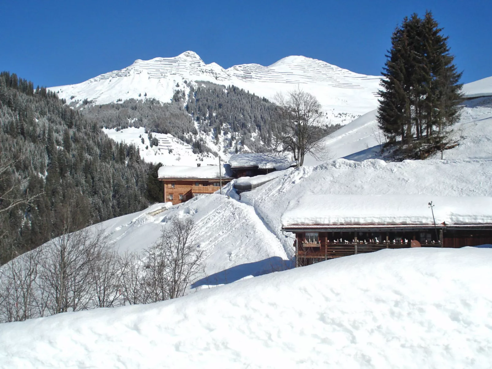 Tola, (St. Antönien).