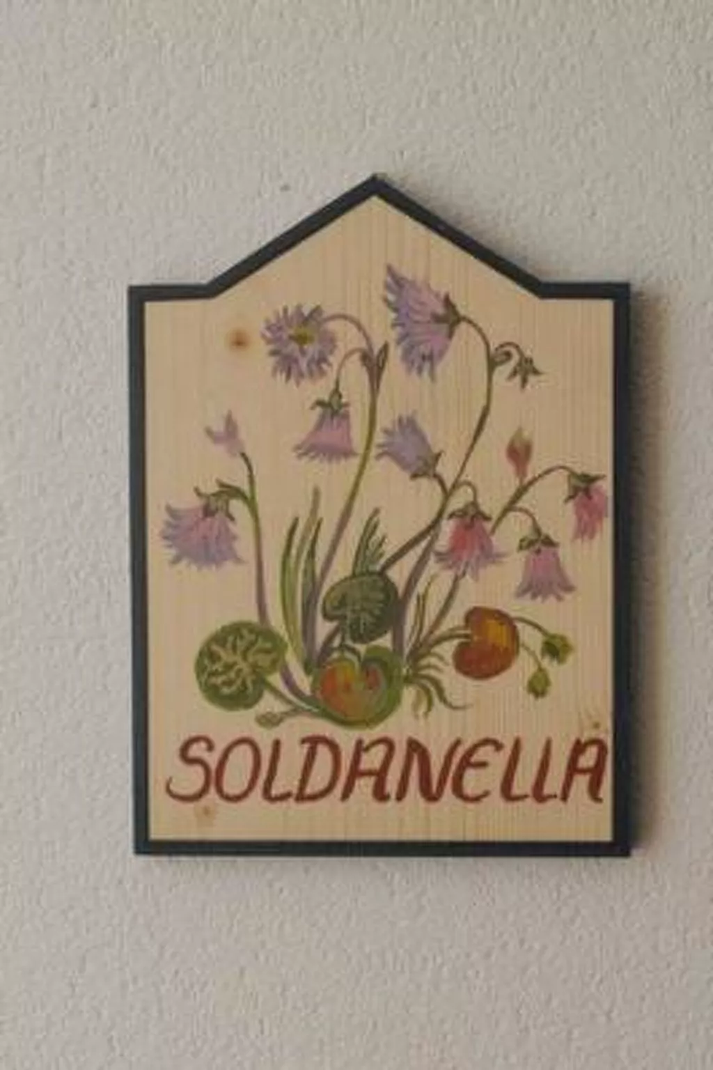 Chasa SERAINA, (Samnaun-Dorf).