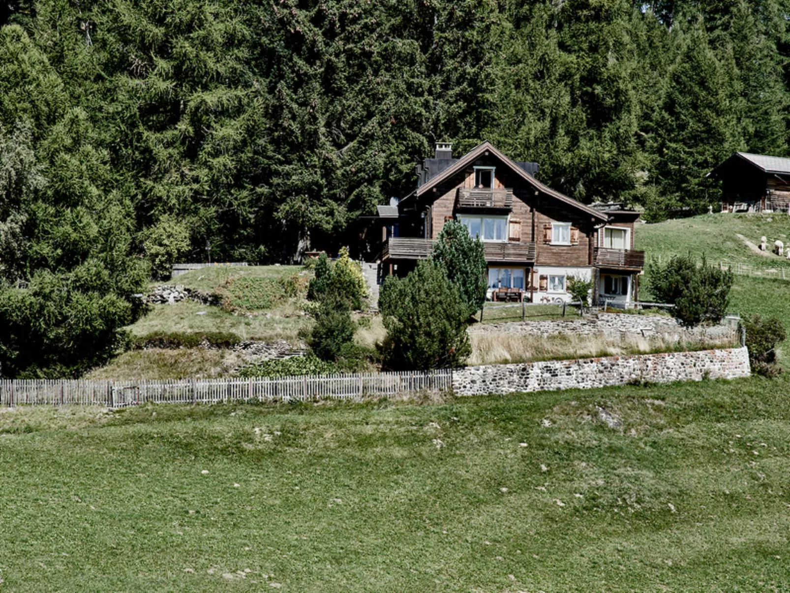 Chalet Lieuretta da Tscharfs, (Feldis).