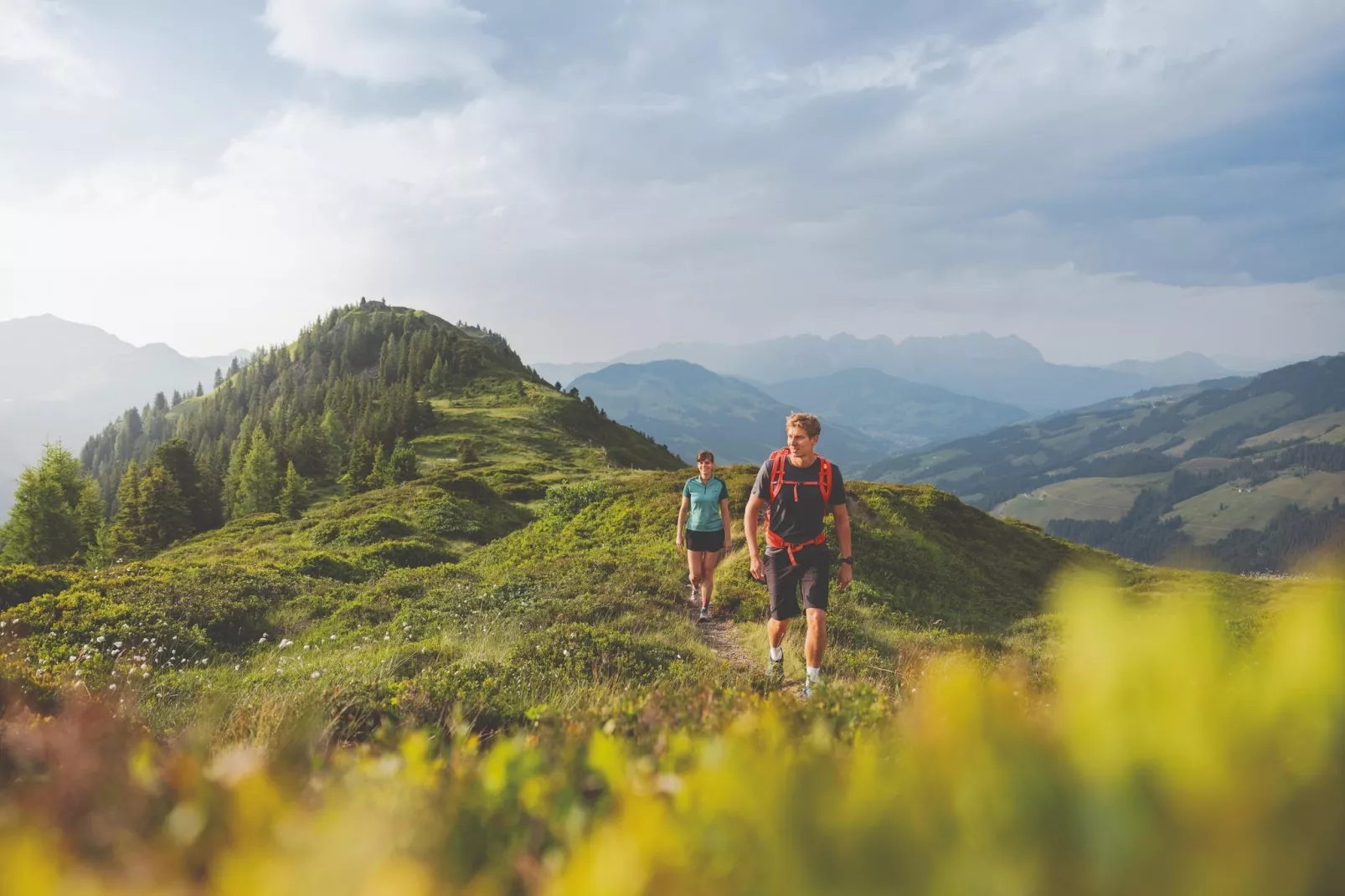 Residenz Edelalm - Top 5 - Gebieden zomer 5km