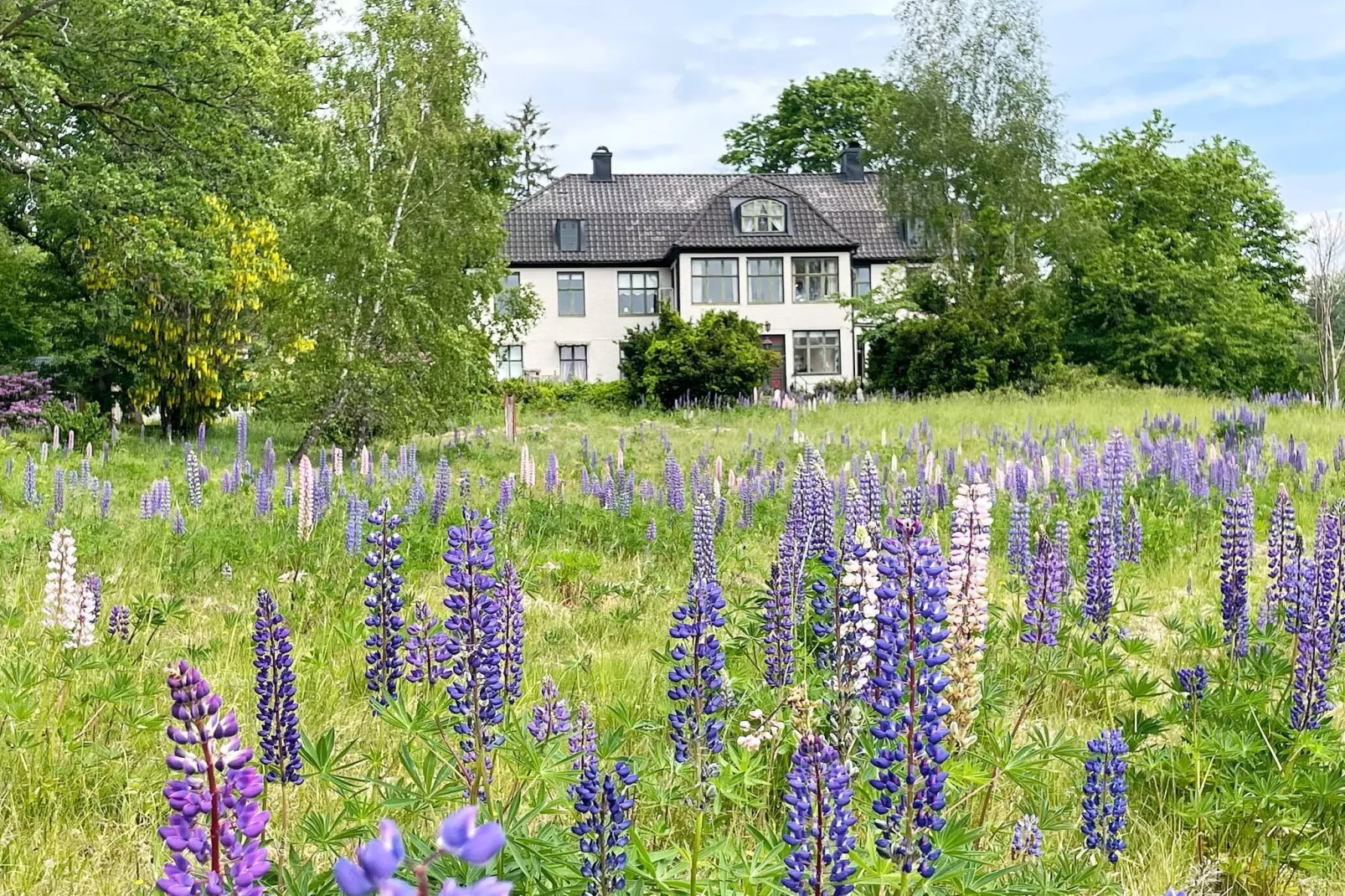 4 sterren vakantie huis in Olofström