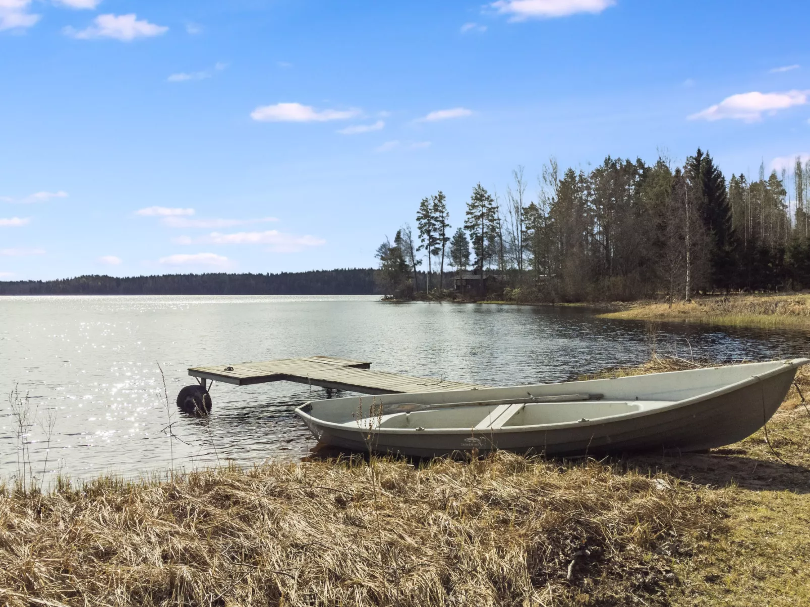 Keltavuokko