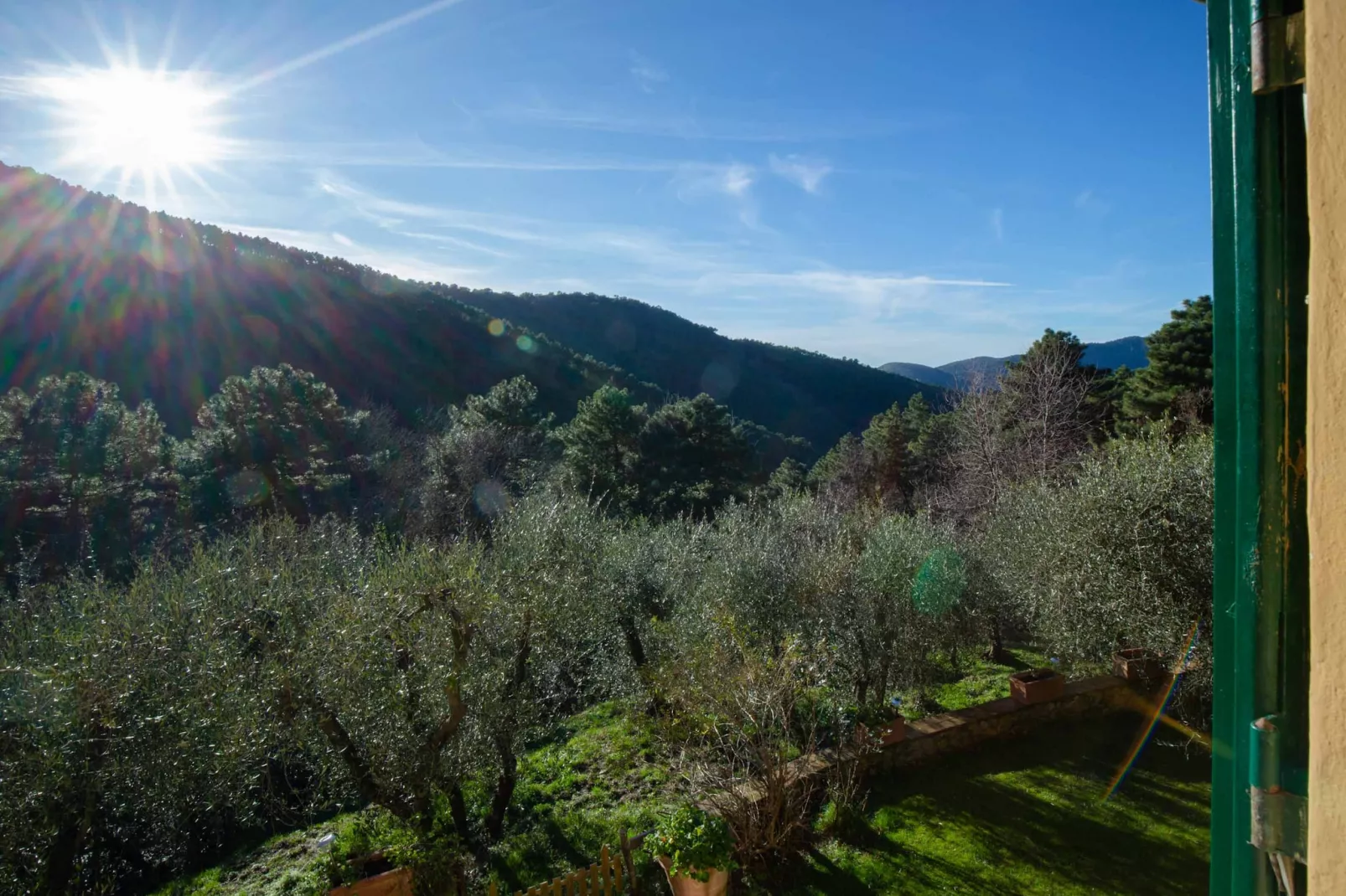 Casa Nel Bosco