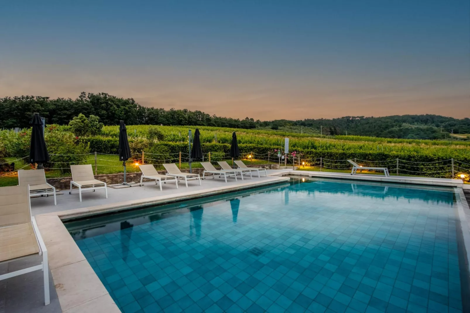 Jacopo Farmhouse Apartment in Wine Resort in Lucca