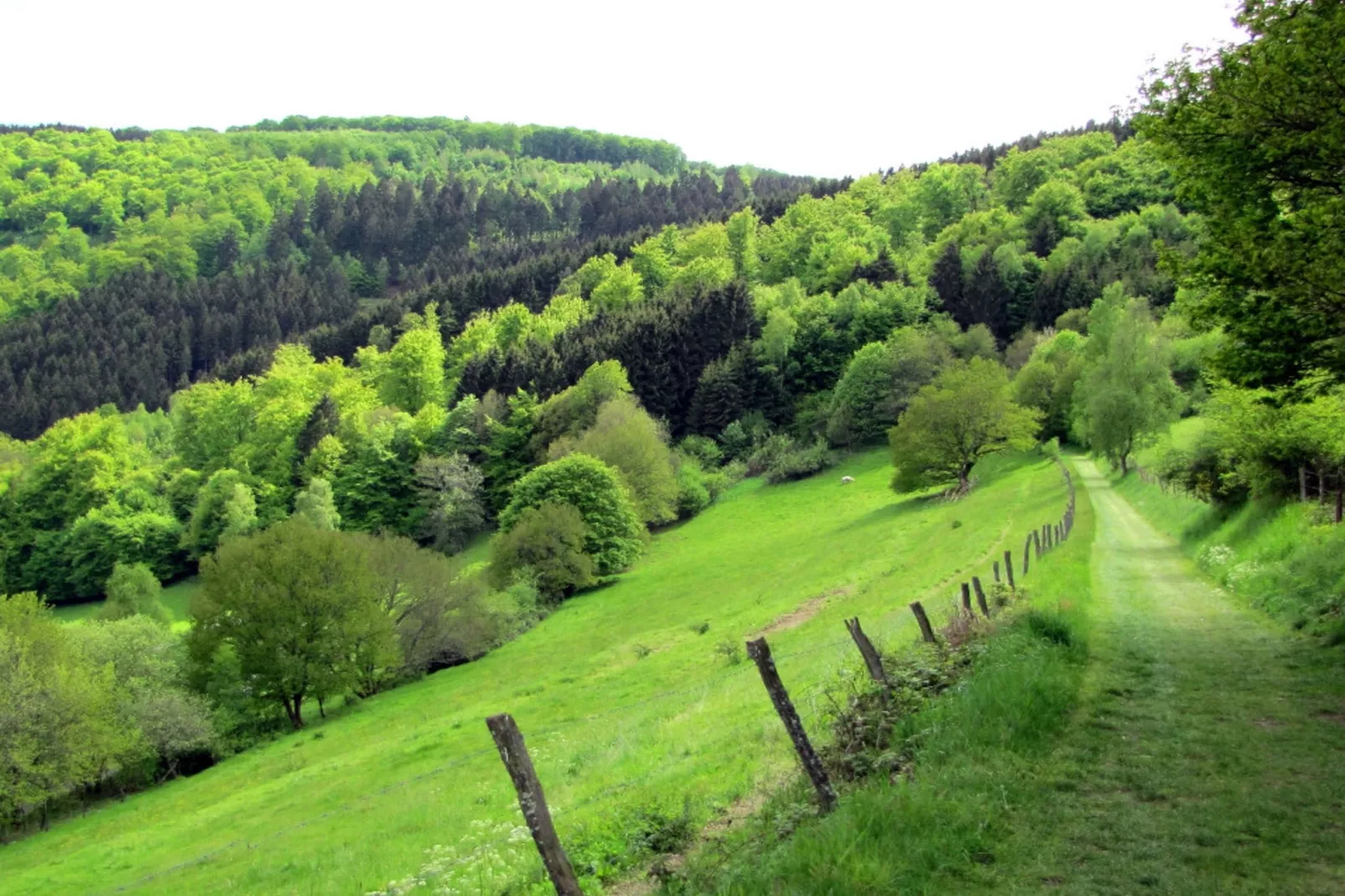 Le Ruisseau - Gebieden zomer 5km