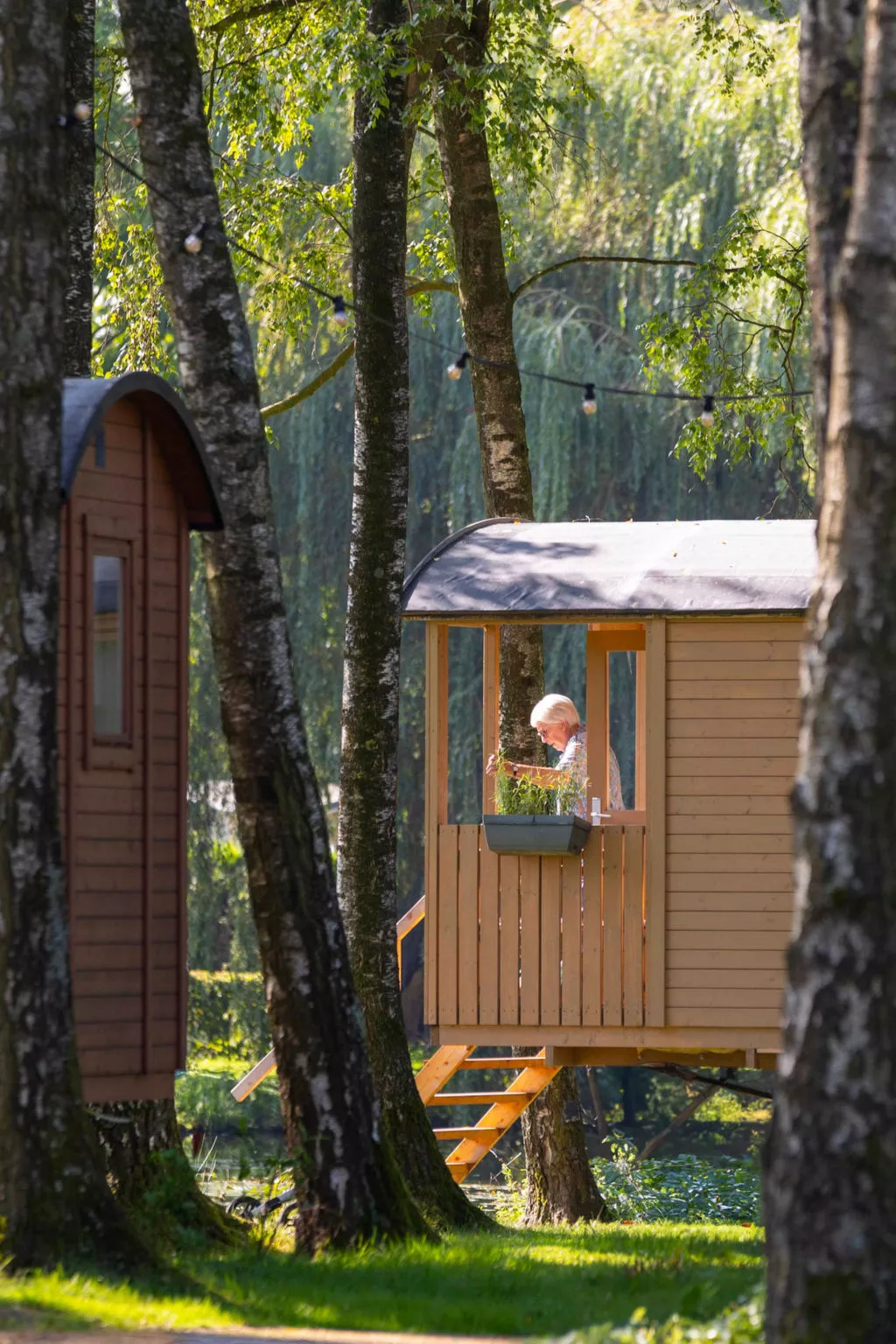 Camping Papillon Kinrooi - Pipowagen 2 p. terras