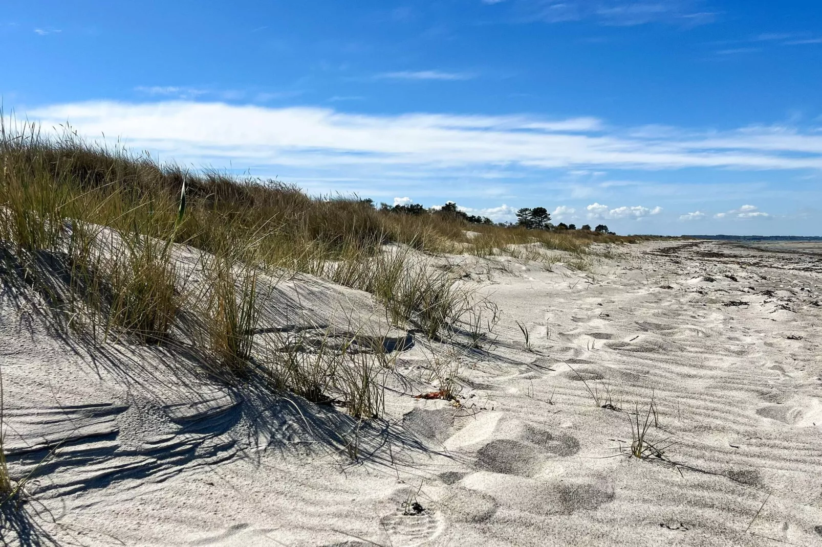 Strandhuisje met aanbouw - Uitzicht