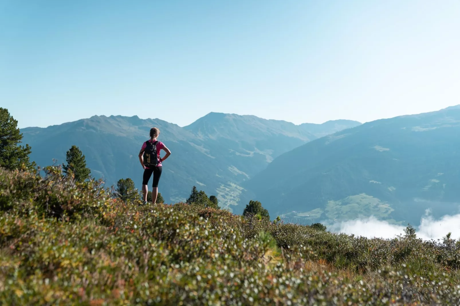 Apart Franz Josef - Top 5 und 6 - Gebieden zomer 5km