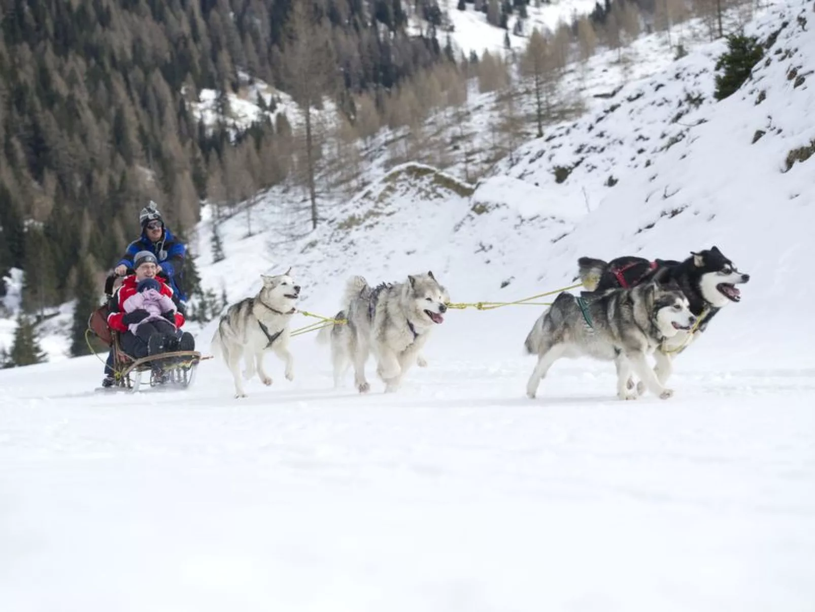 Haus Dorle.Ferienwohnung im Zentrum eines Skigebiets, wenige Geminuten von Skil
