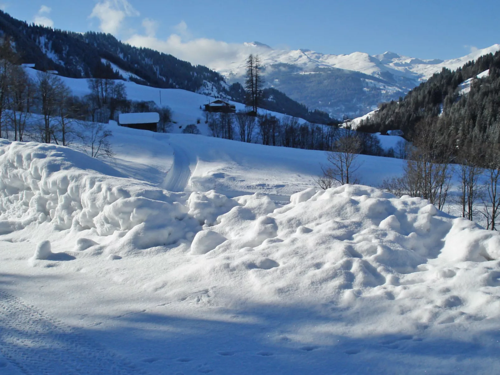 Tola, (St. Antönien).