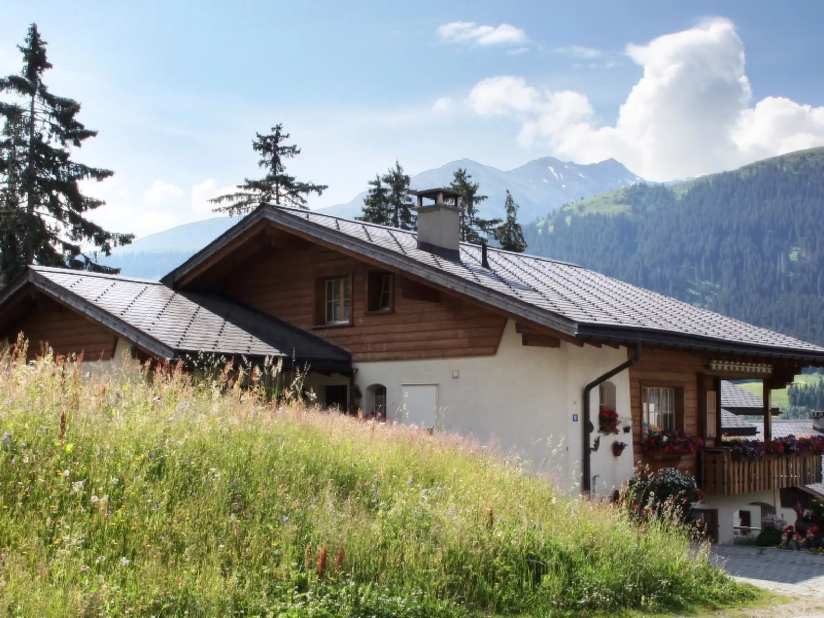 Ferienwohung Cavegn-Cavigelli, (Sedrun).