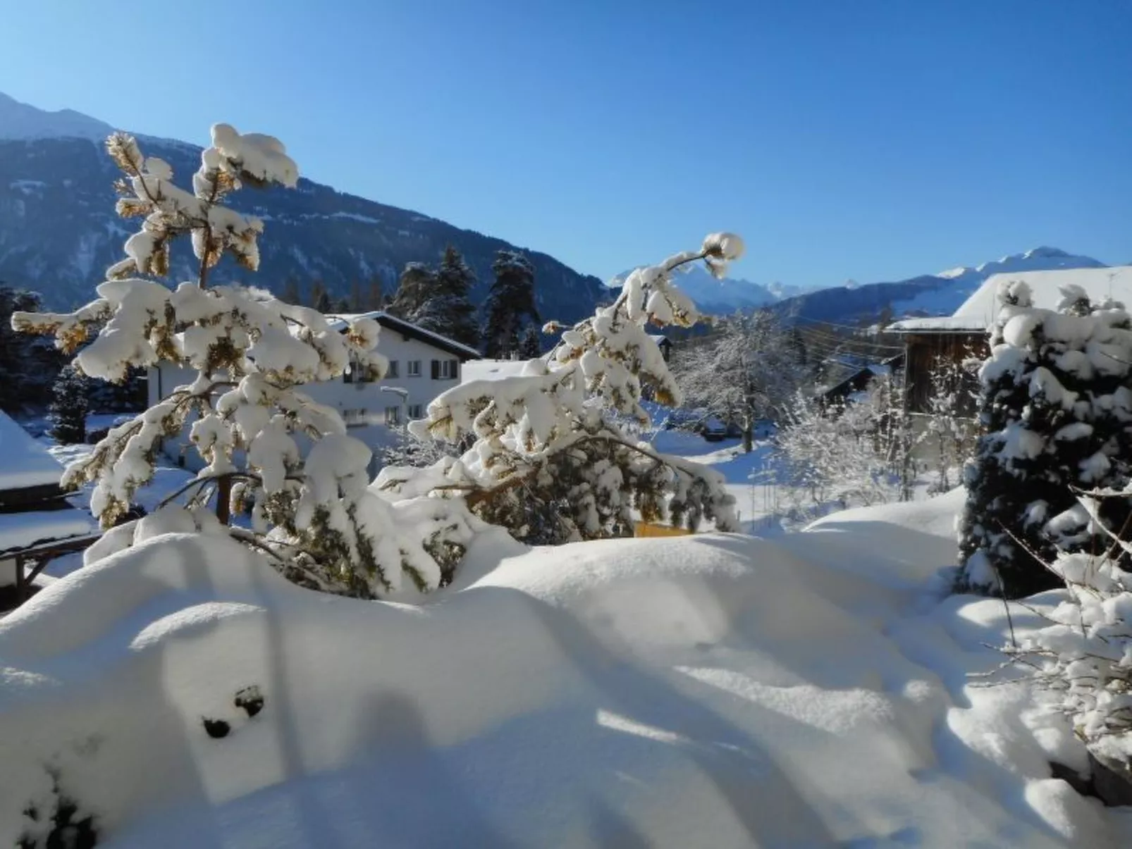 Pignia 2 / Greulich, (Laax Dorf). 3 Zimmerwohnung