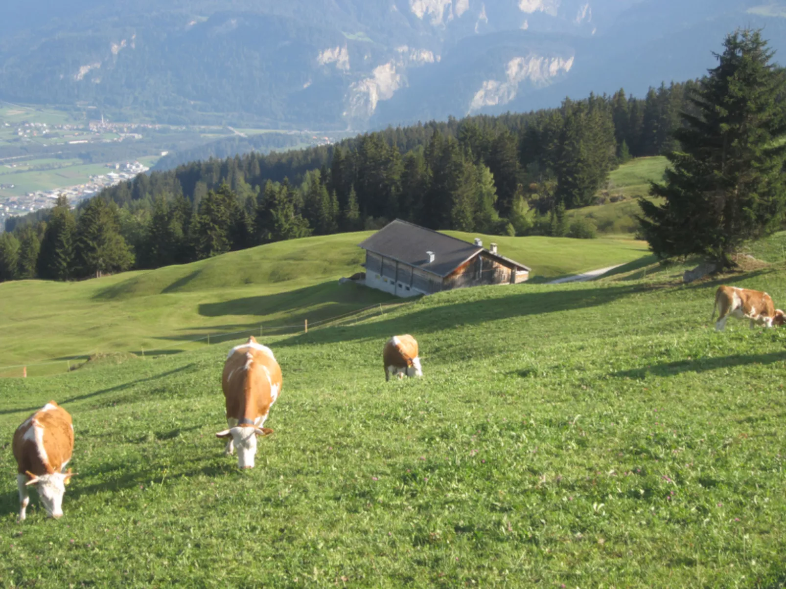 Maiensäss Rüs, (Präz).