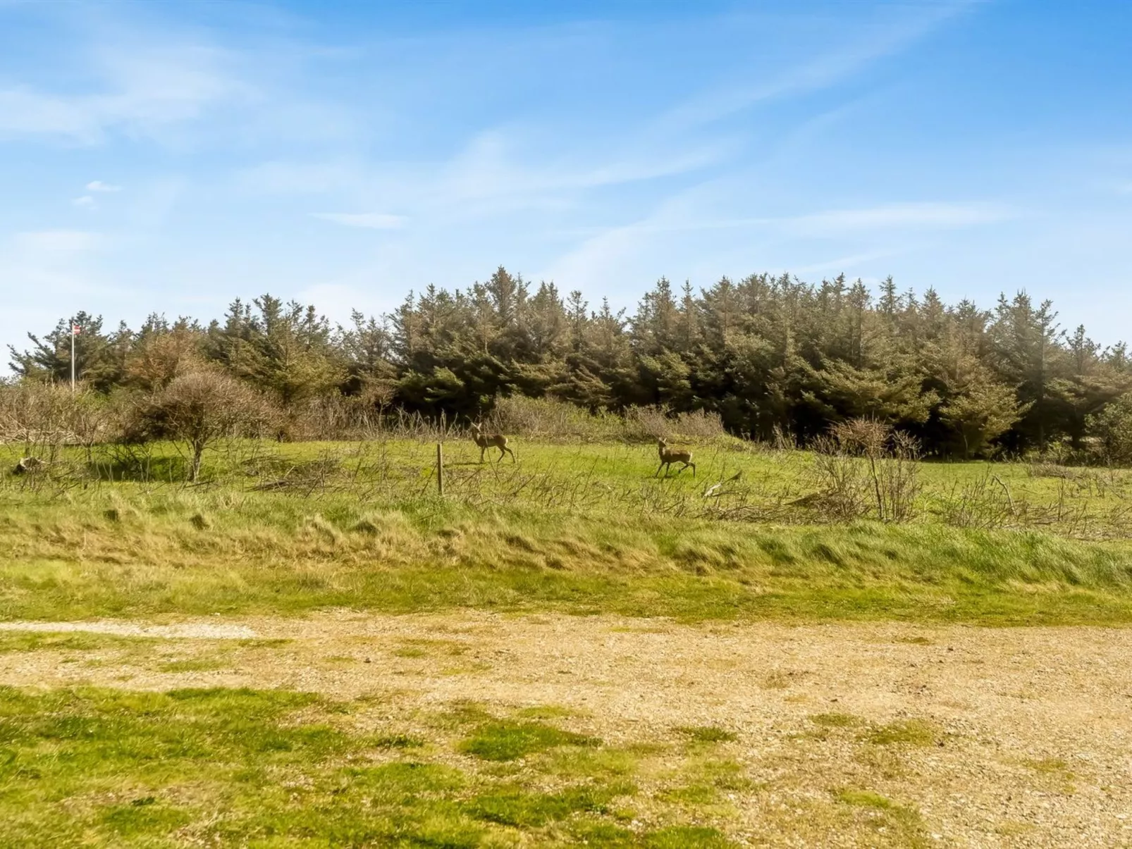 "Carelle" - 300m from the sea