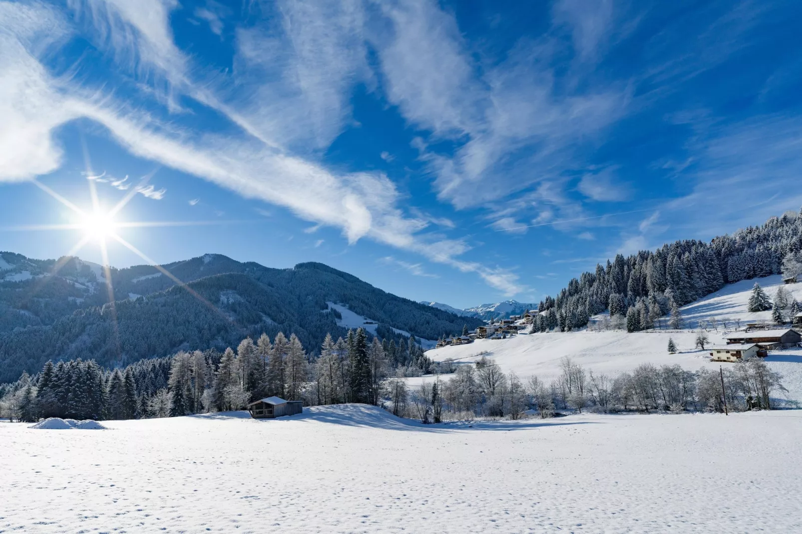Vicky Apartment Top 5 - Gebied winter 5km